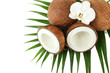 Coconuts with leaves and flower, isolated on white