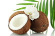 Coconuts with leaves and flower, isolated on white