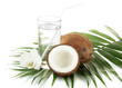 Coconuts with glass of milk, isolated on white