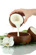 Coconut with coconut milk and leaves, isolated on white
