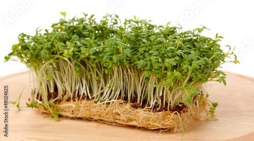 Photo: Fresh cress salad on wooden board isolated on white Fresh cress salad on wooden board isolated on white