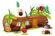 Ladybugs and a house