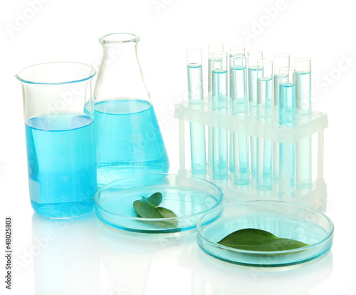 Photo: test-tubes and leaves tested in petri dishes isolated on white test-tubes and leaves tested in petri dishes isolated on white