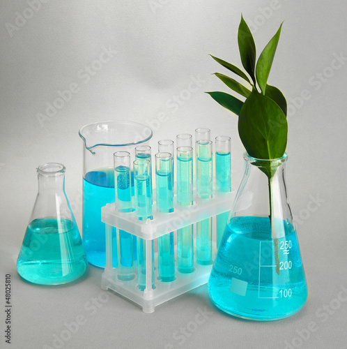 Photo: test-tubes and leaves tested in petri dishes on grey background test-tubes and leaves tested in petri dishes on grey background