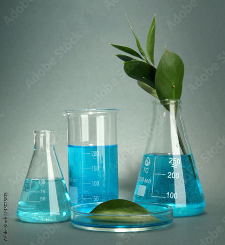 Photo: test-tubes and leaf tested in petri dish on grey background test-tubes and leaf tested in petri dish on grey background