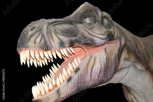 Photo: Tyrannosaurus T-Rex Tyrannosaurus T-Rex