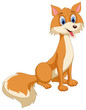 Beautiful Fox