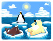 Polar scene