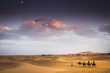 Carovana nel Deserto