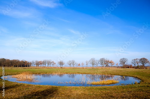 Photo: round shaped little pond round shaped little pond