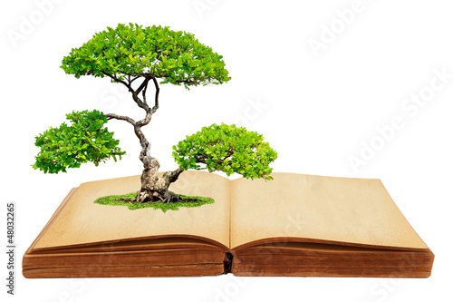 Photo: The big tree growth from a book isolated on white background The big tree growth from a book isolated on white background