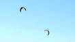 Kites