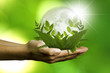 concepto de ecología