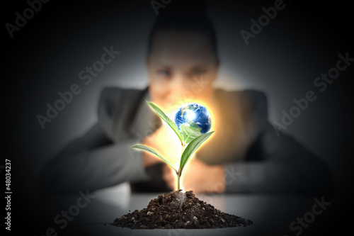 Photo: green plant on earth green plant on earth