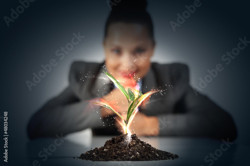 Photo: Young plant life process Young plant life process