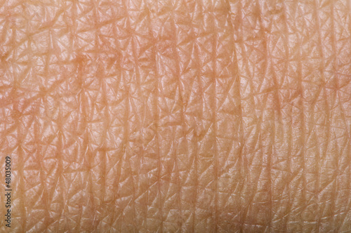 Photo: Human skin Human skin