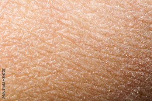 Photo: Human skin Human skin