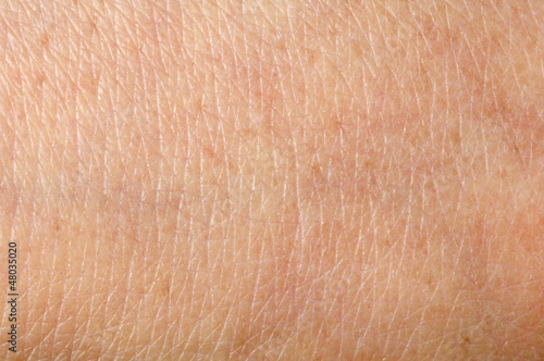 Photo: Human skin Human skin