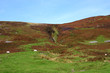 Hill in Scotland