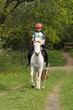 Mädchen im Galopp auf ihrem Pony