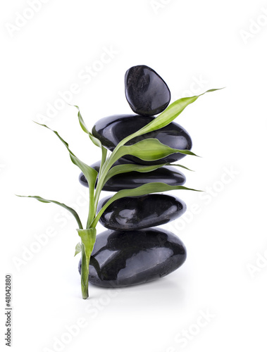 Photo: Galets Noir et Bambou Galets Noir et Bambou