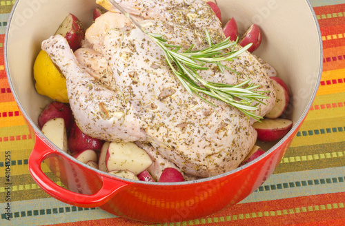 Photo: Raw Chicken with Herbs in a Dutch Oven Ready for Roasting Raw Chicken with Herbs in a Dutch Oven Ready for Roasting