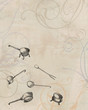 Kitchen tools