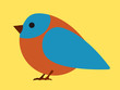 Pretty little blue bird