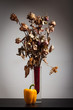 Dry Flowers With Yellow Pepper Dry Flowers With Yellow Pepper