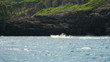 Fast motorboat jumps on waves