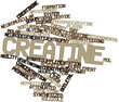 Word cloud for Creatine