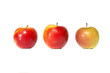Photo: Apple Apple