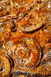 fossilien rostig