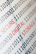 Secure digital storage
