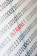 Intranet