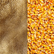 Commodity texture, gold & corn