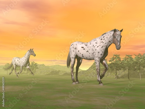Illustration: Leopard horses in nature - 3D render Leopard horses in nature - 3D render
