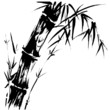 Bamboo Silhouette Drawing