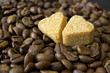 coffee beans, Pots, cinnamon on dark background