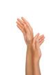 Photo : Beautiful hands of young woman, body care - cut out Beautiful hands of young woman, body care - cut out