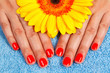 manicure on hands