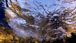 Golden Underwater Waves