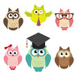 Vector: set of cute owls set of cute owls