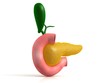 Pancreas