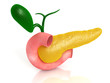 Pancreas