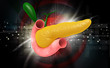 Pancreas
