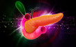 Pancreas