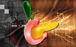 pancreas