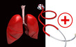 human lungs and stethoscope