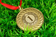 Gold medal on grass background